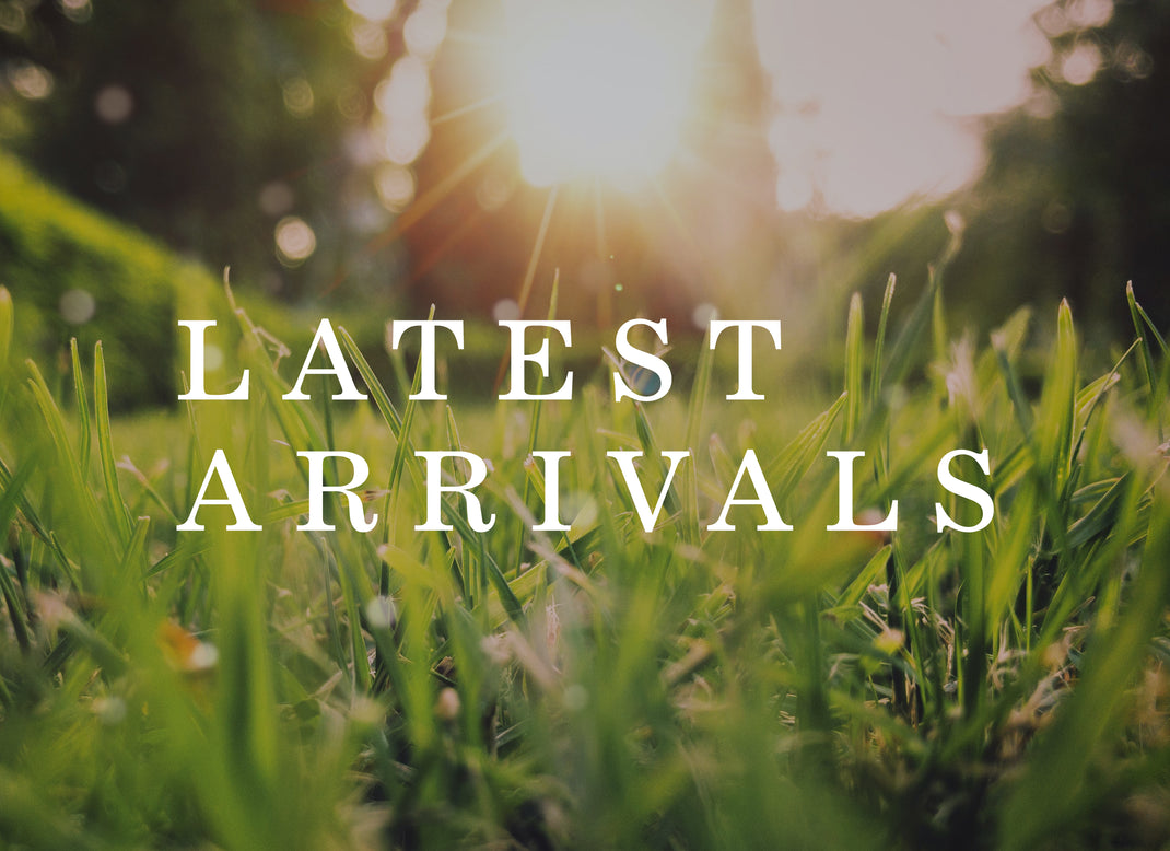 Latest Arrivals