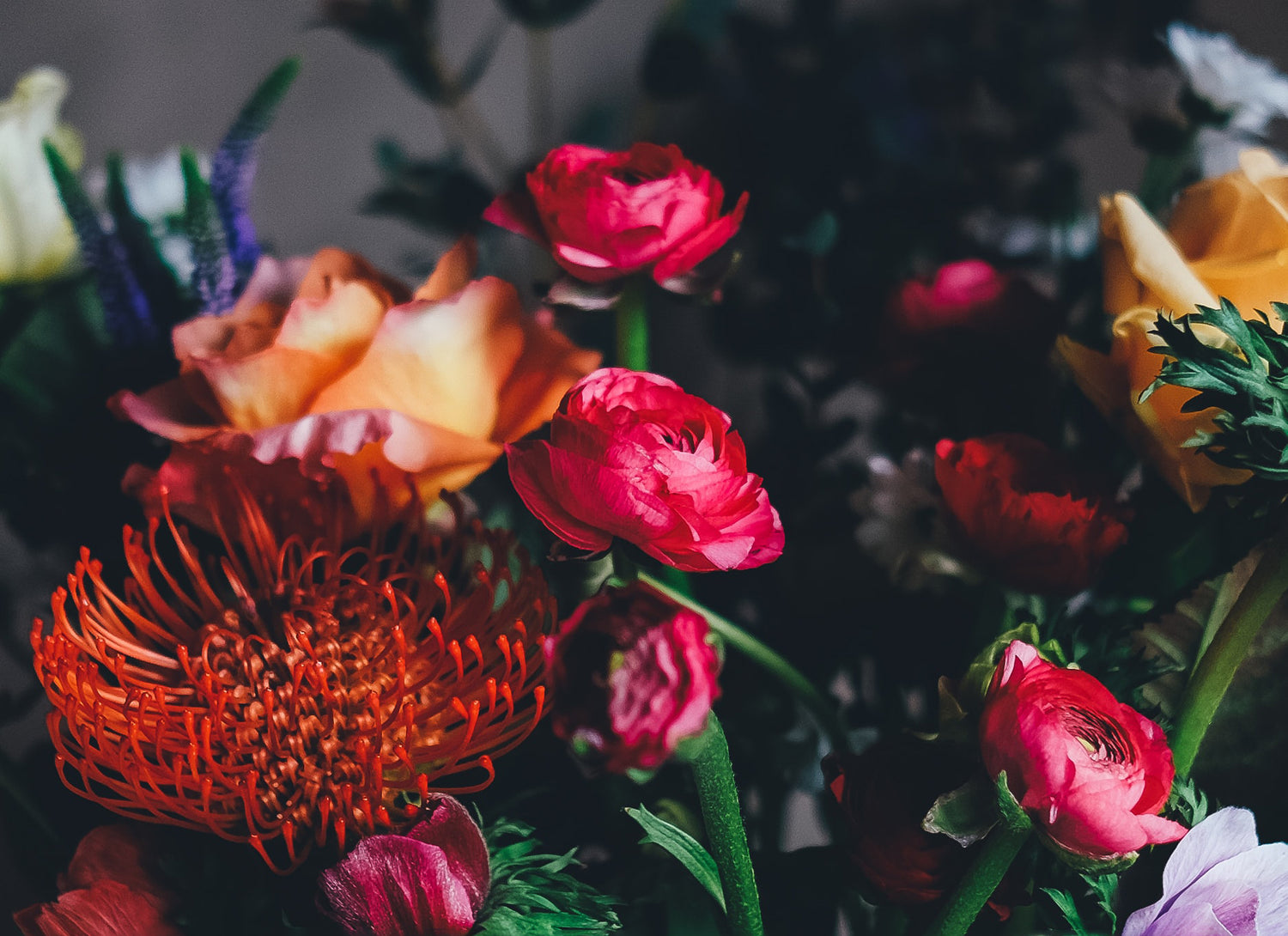 Floral Collection