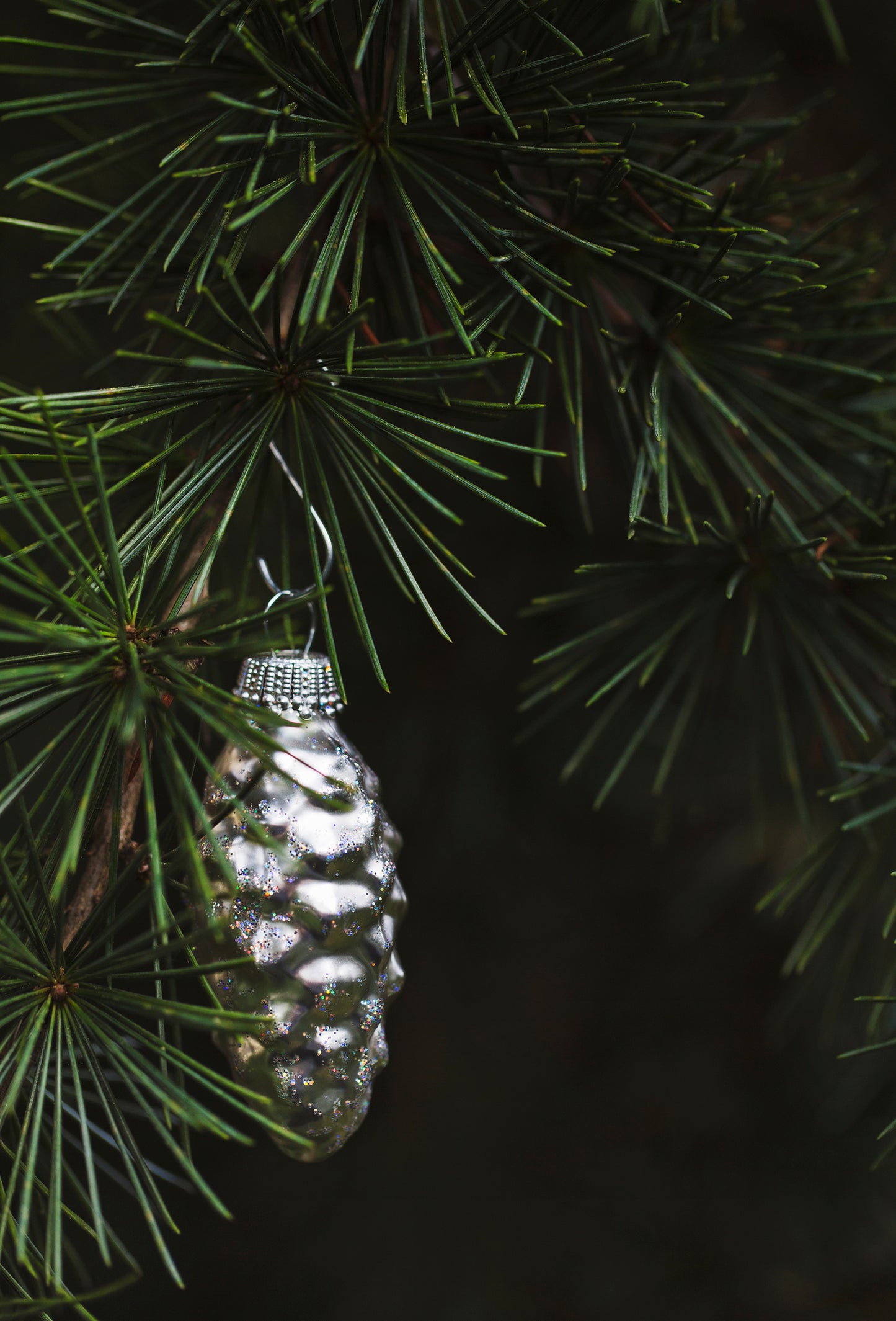 Fir Oil, Canada