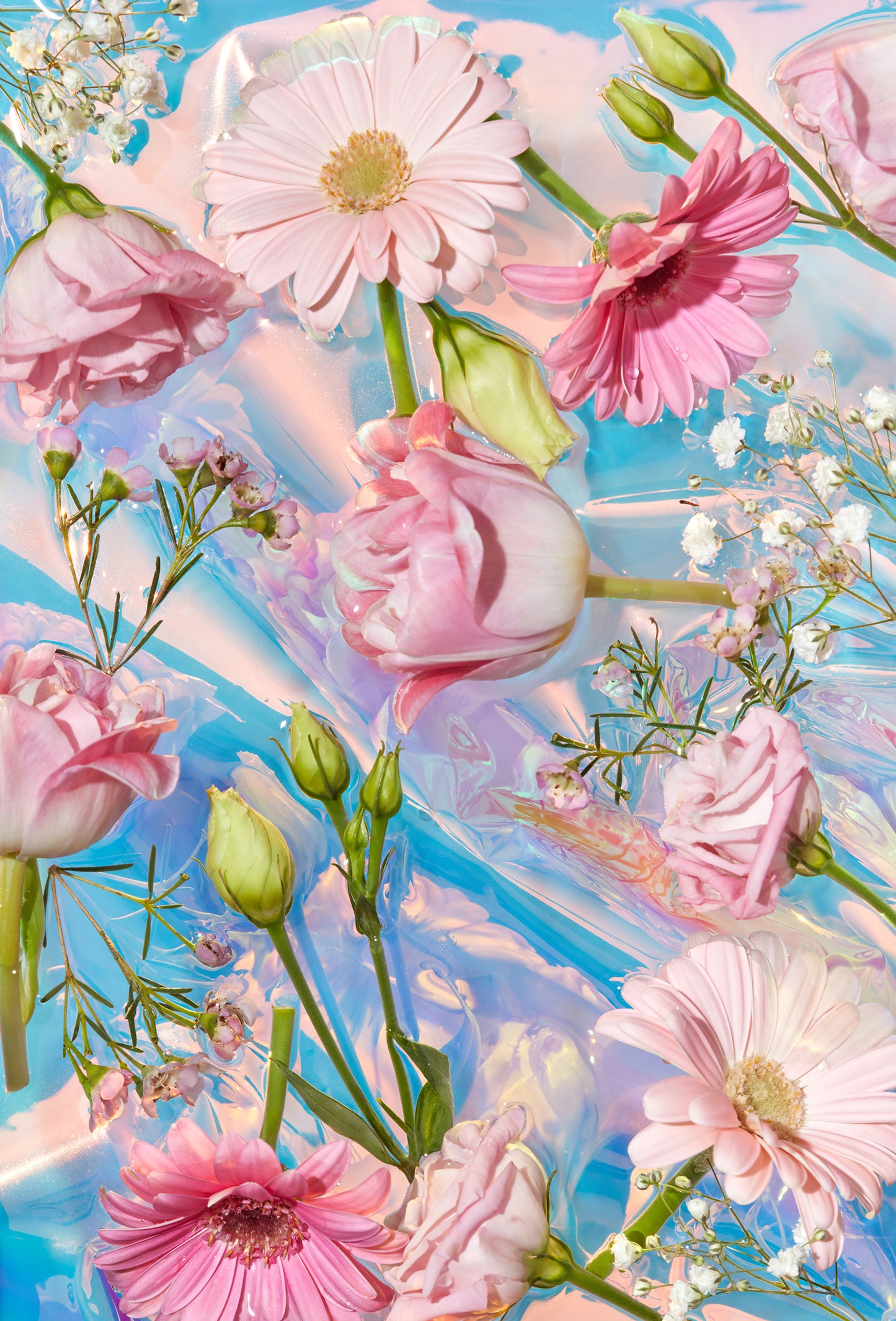 Compound Pink