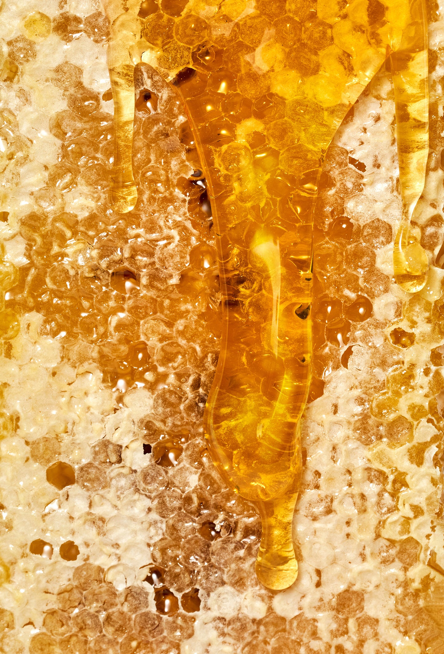 Ethyl Phenyl Acetate