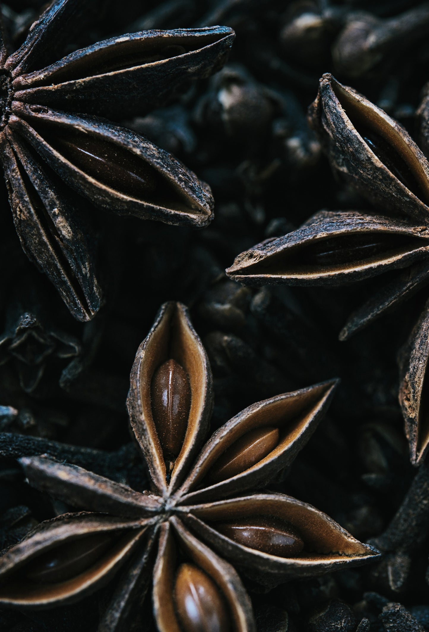 Star Anise Oil