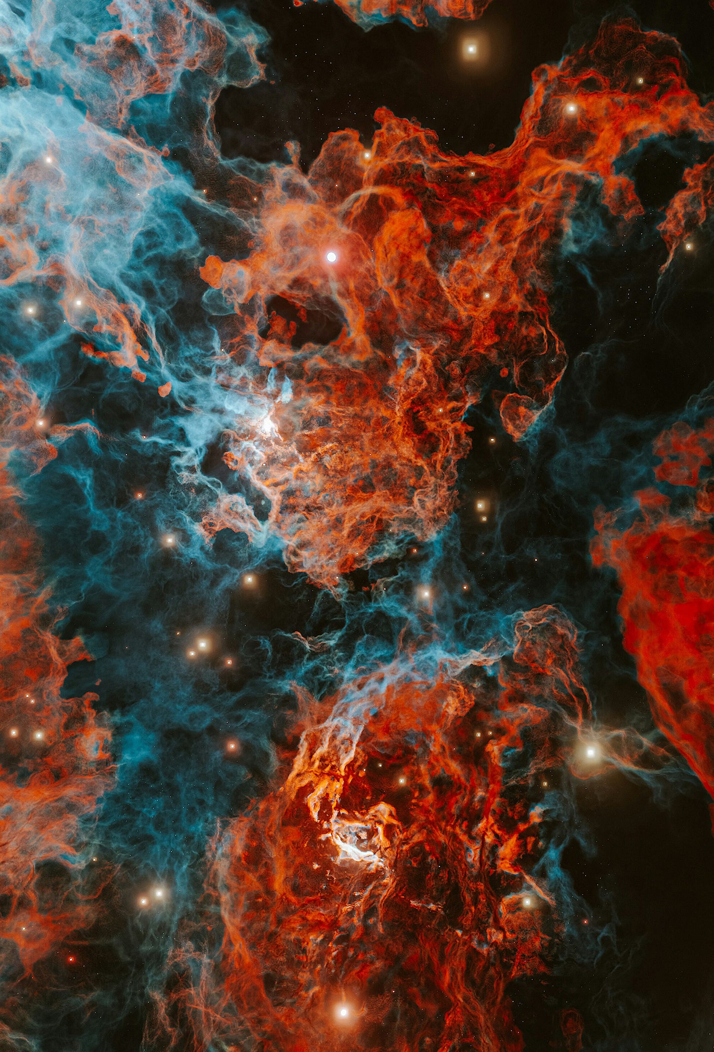 Cosmonex 1485B