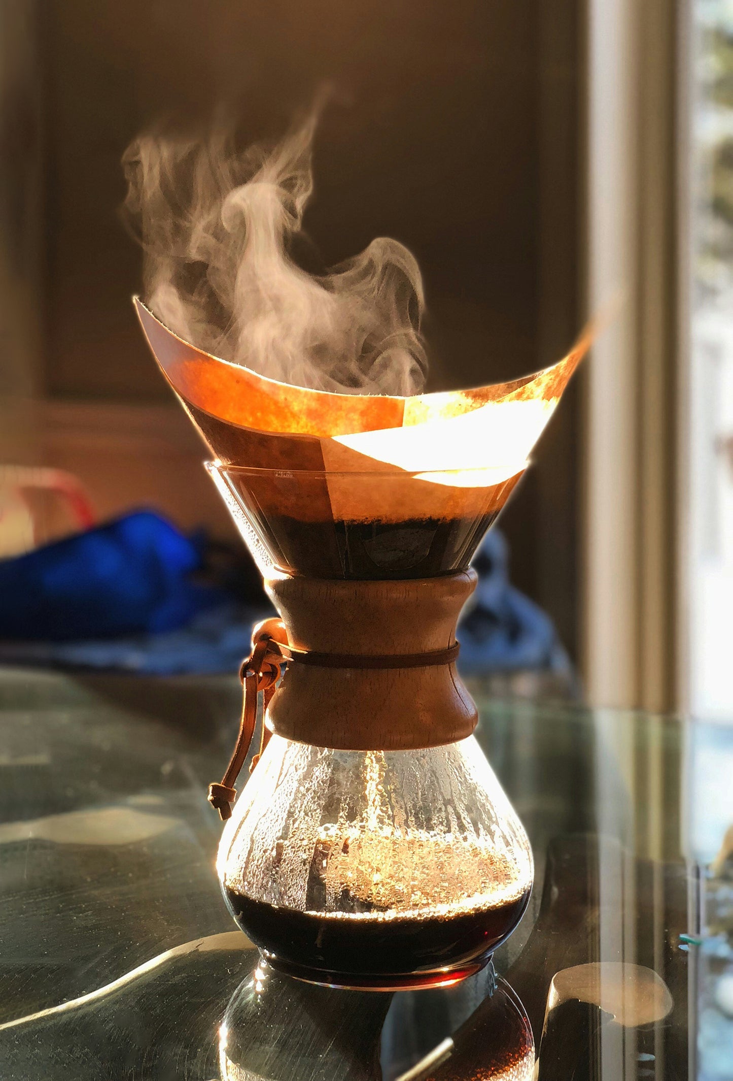 Coffee Arabica P. Jungle Essence