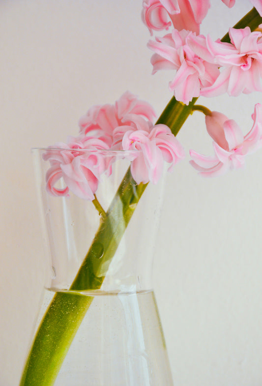 Hyacinth TruAbs®
