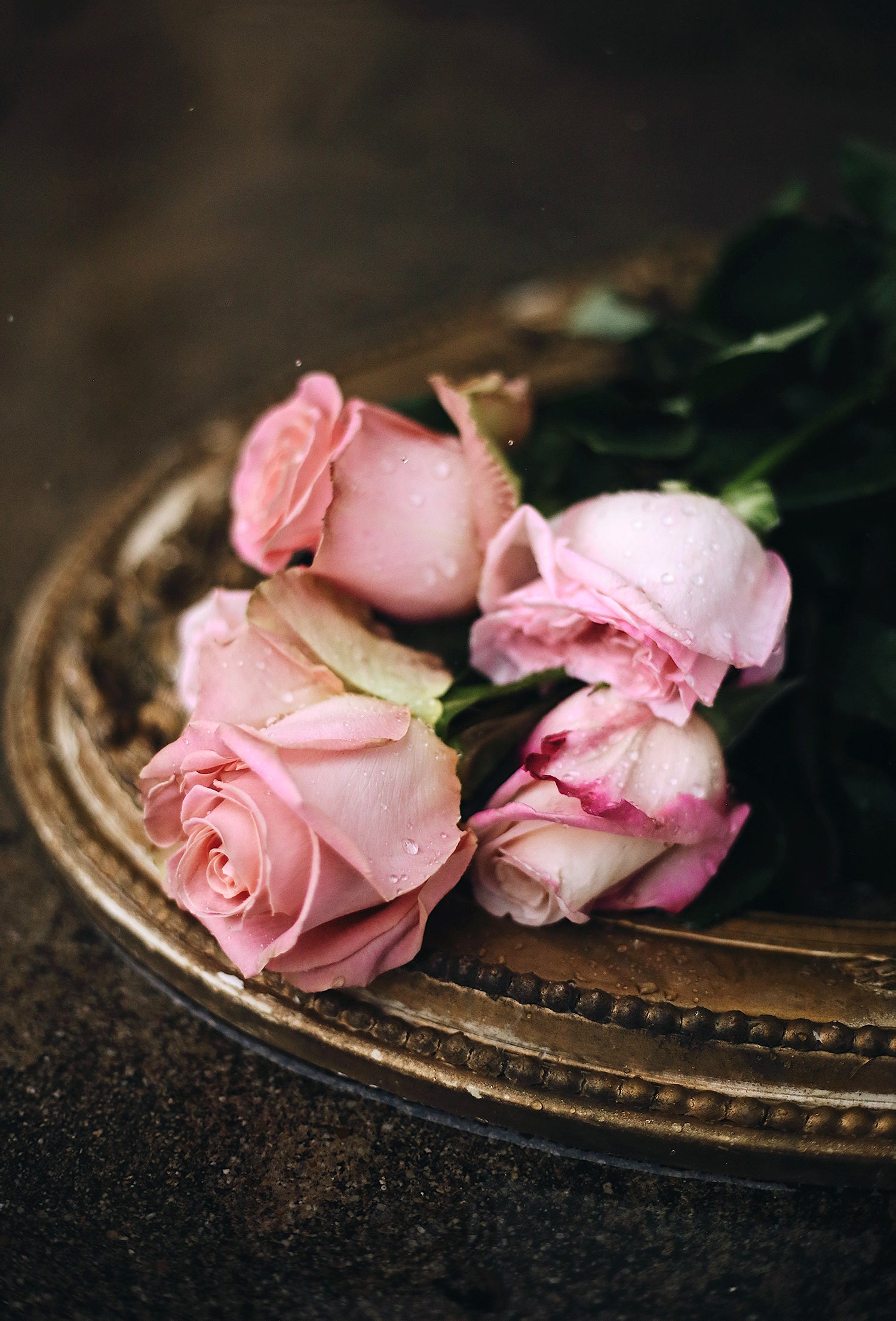 Top 10 MAY ROSE / ROSE DE MAI Fragrances  Rose Centifolia, Grasse Rose,  Cabbage Rose Perfumes 