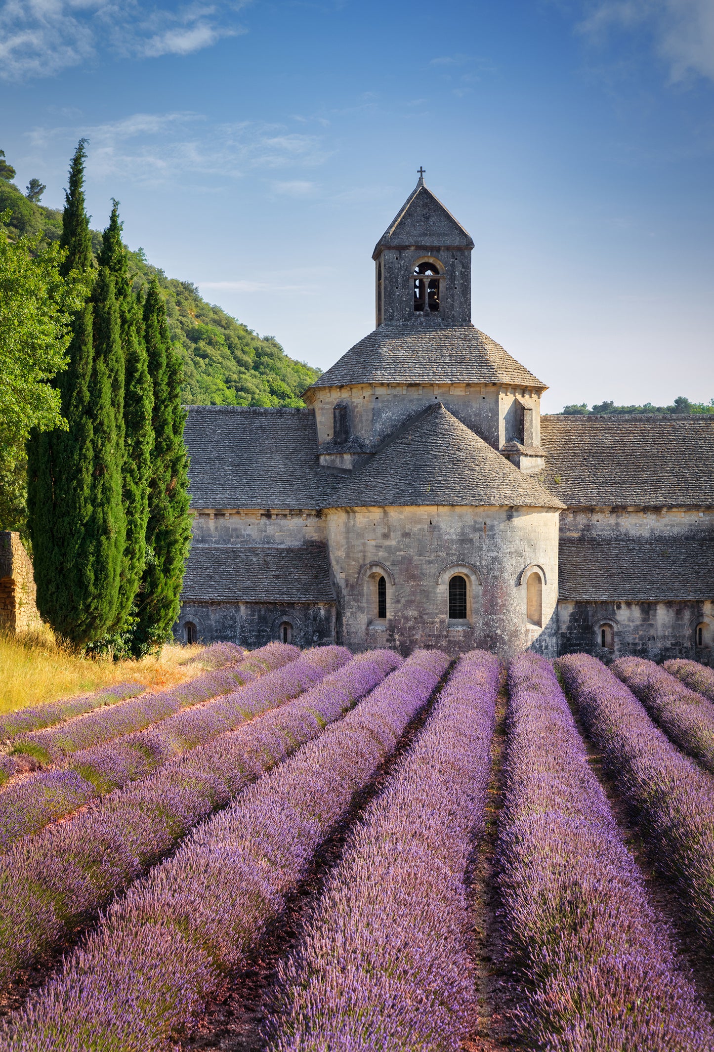 Lavender “Signature” Oil
