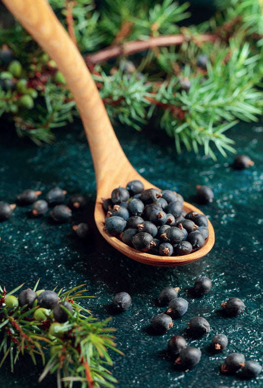 Juniper Berry Oil, Rectified