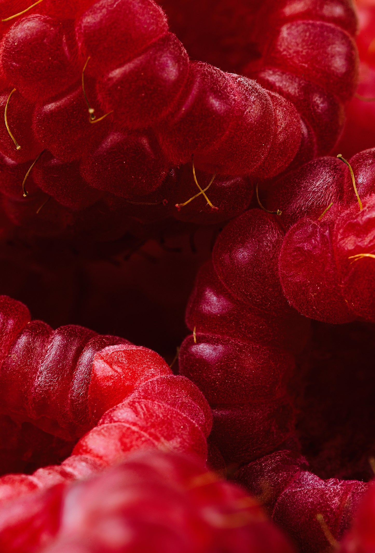 Velberry™