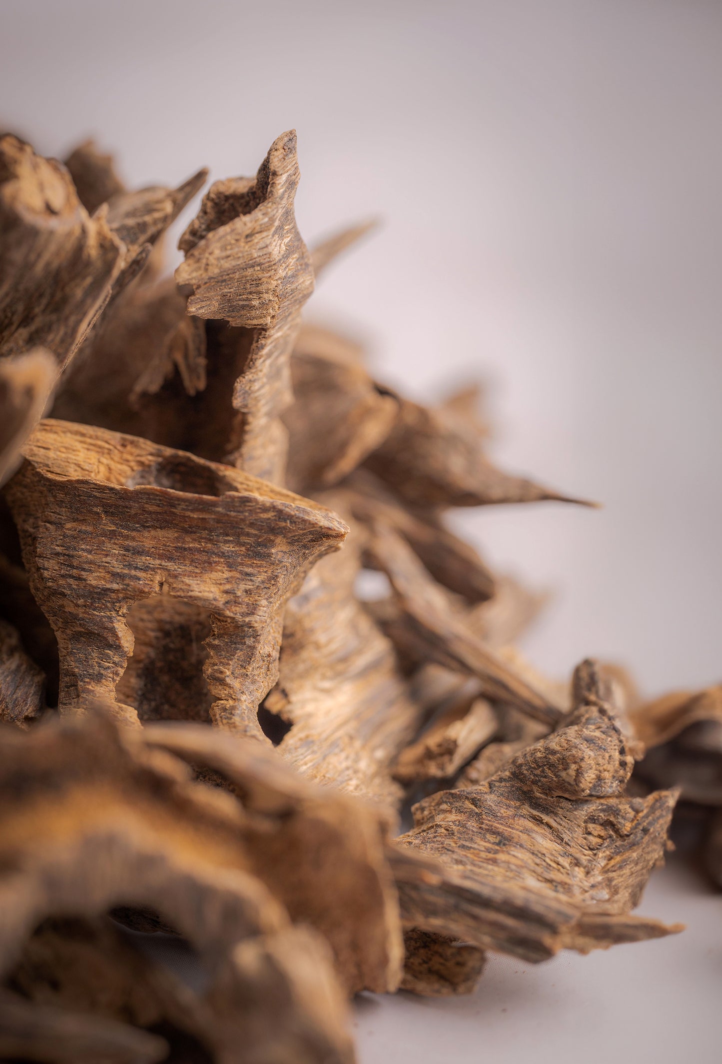 Aetoxylon “White Oud” Oil