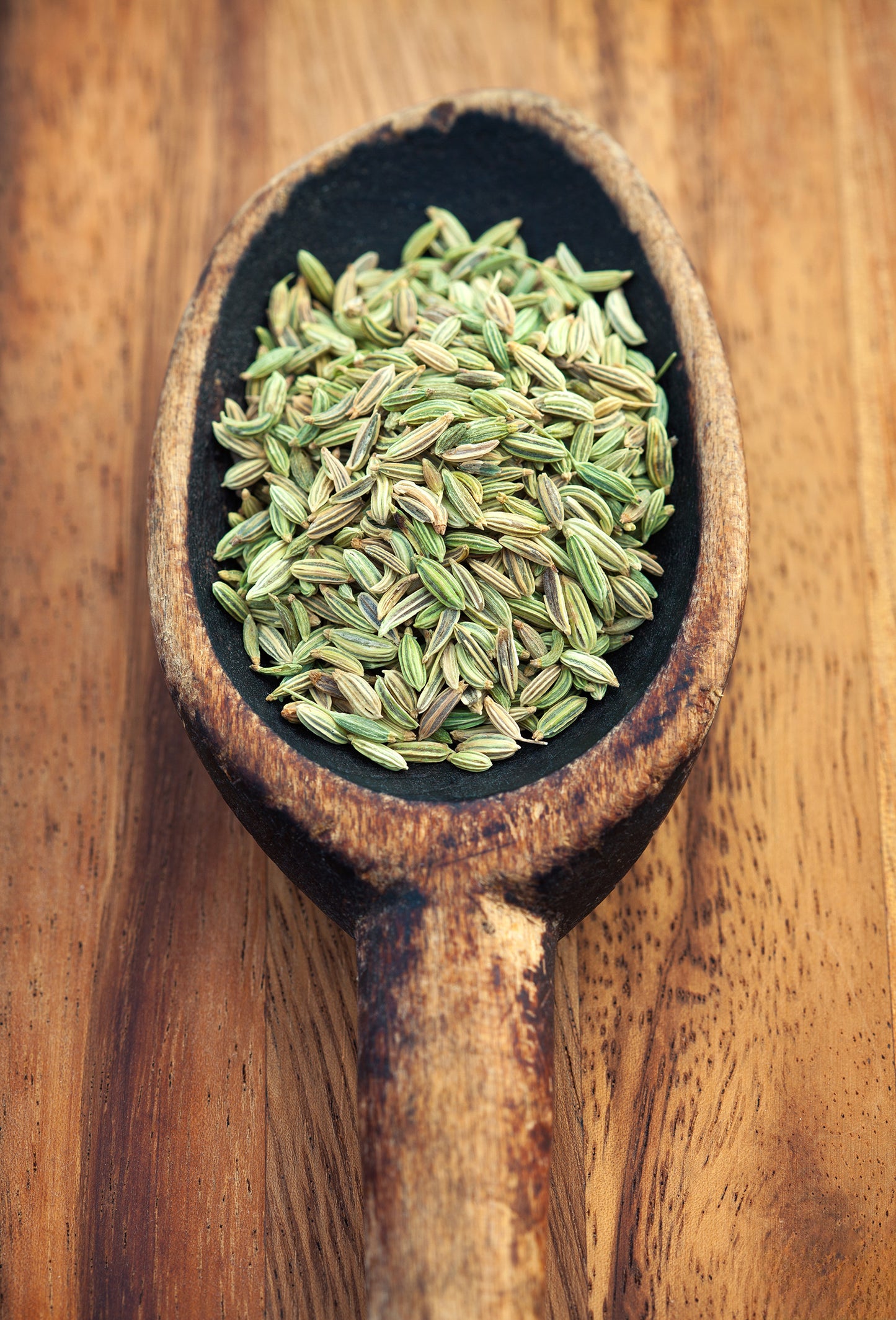 Fennel Seed Oil