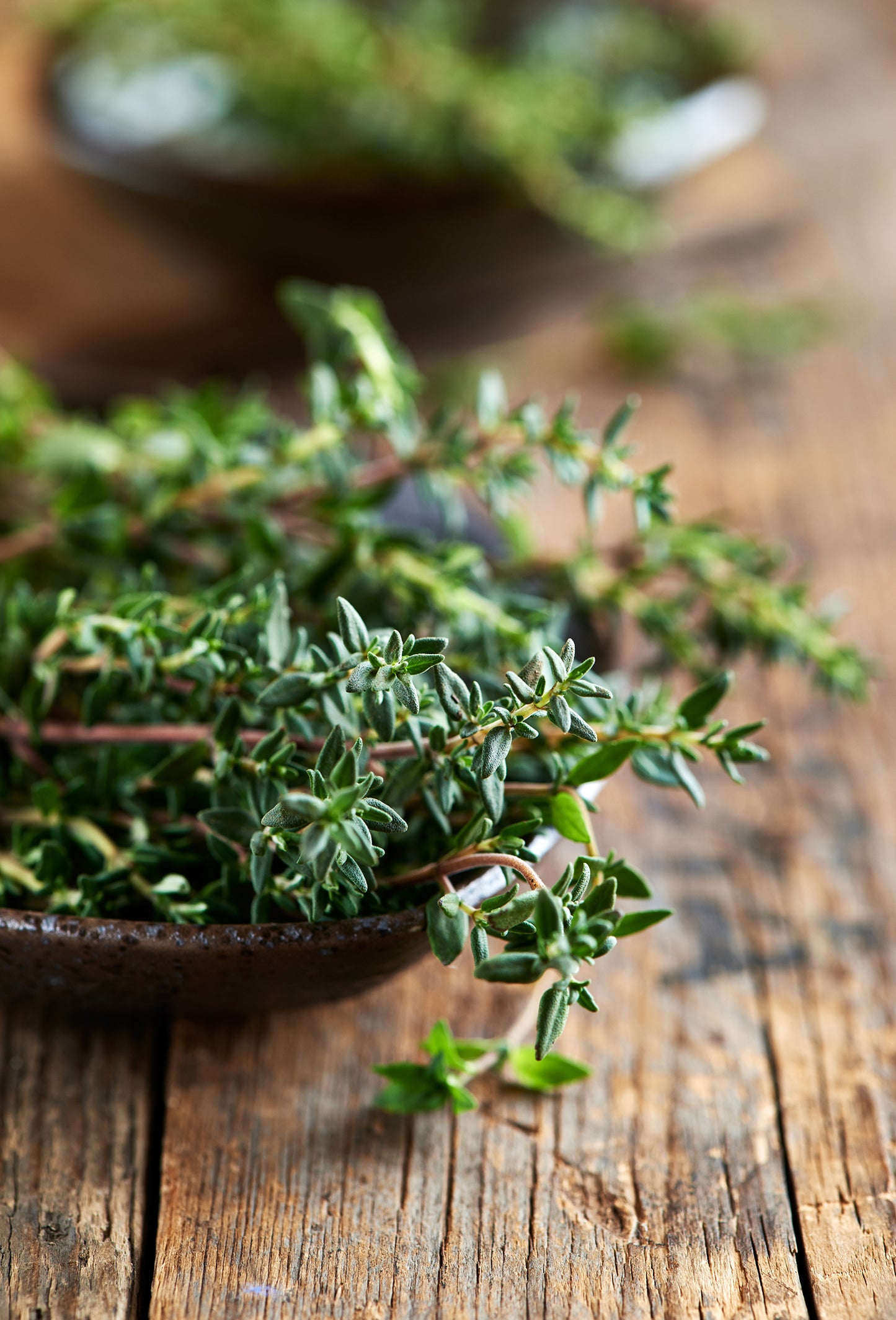 Thyme Oil ct Linalool