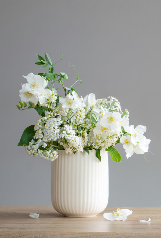 Jasmin 1109