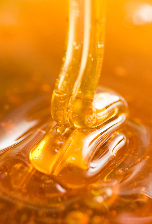 Labdanum Light Absolute