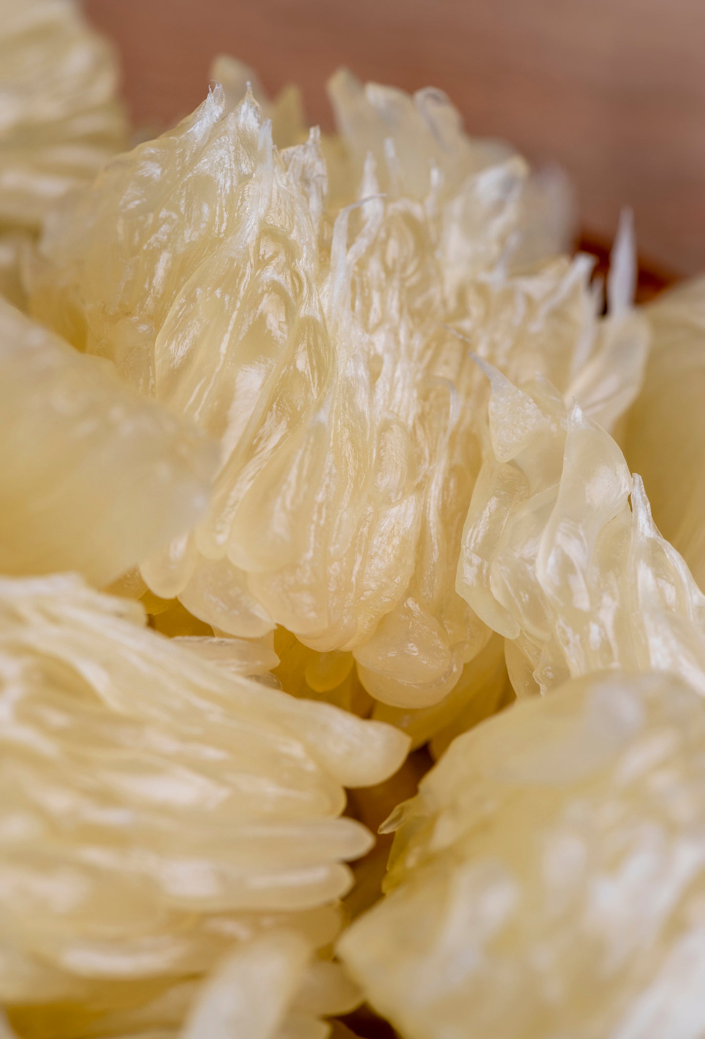 Grapefruit Oil, White