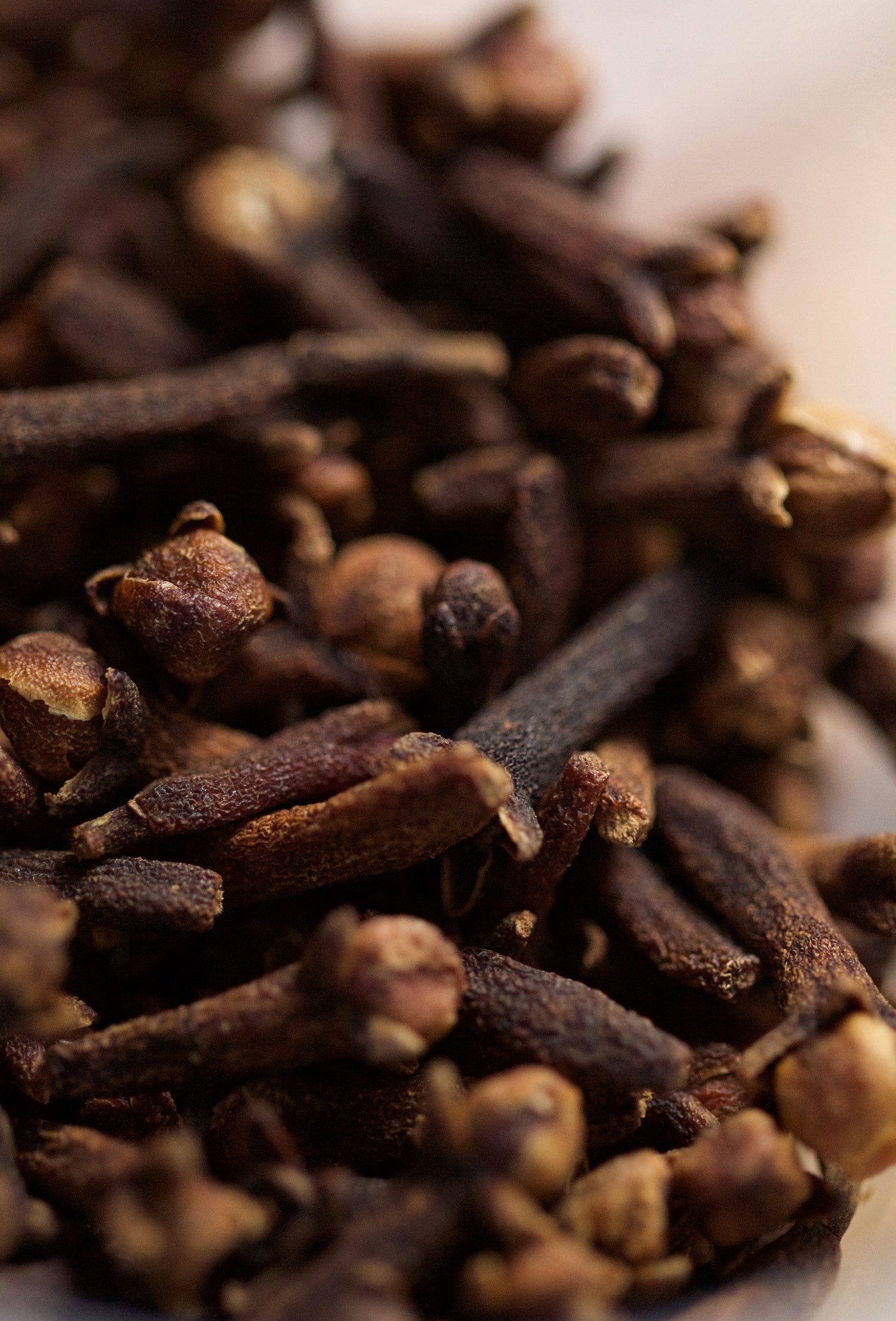 Clove Bud “Signature” Oil – Fraterworks