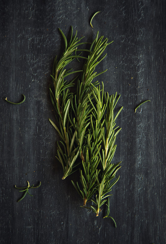 Rosemary Oil, Tunisia