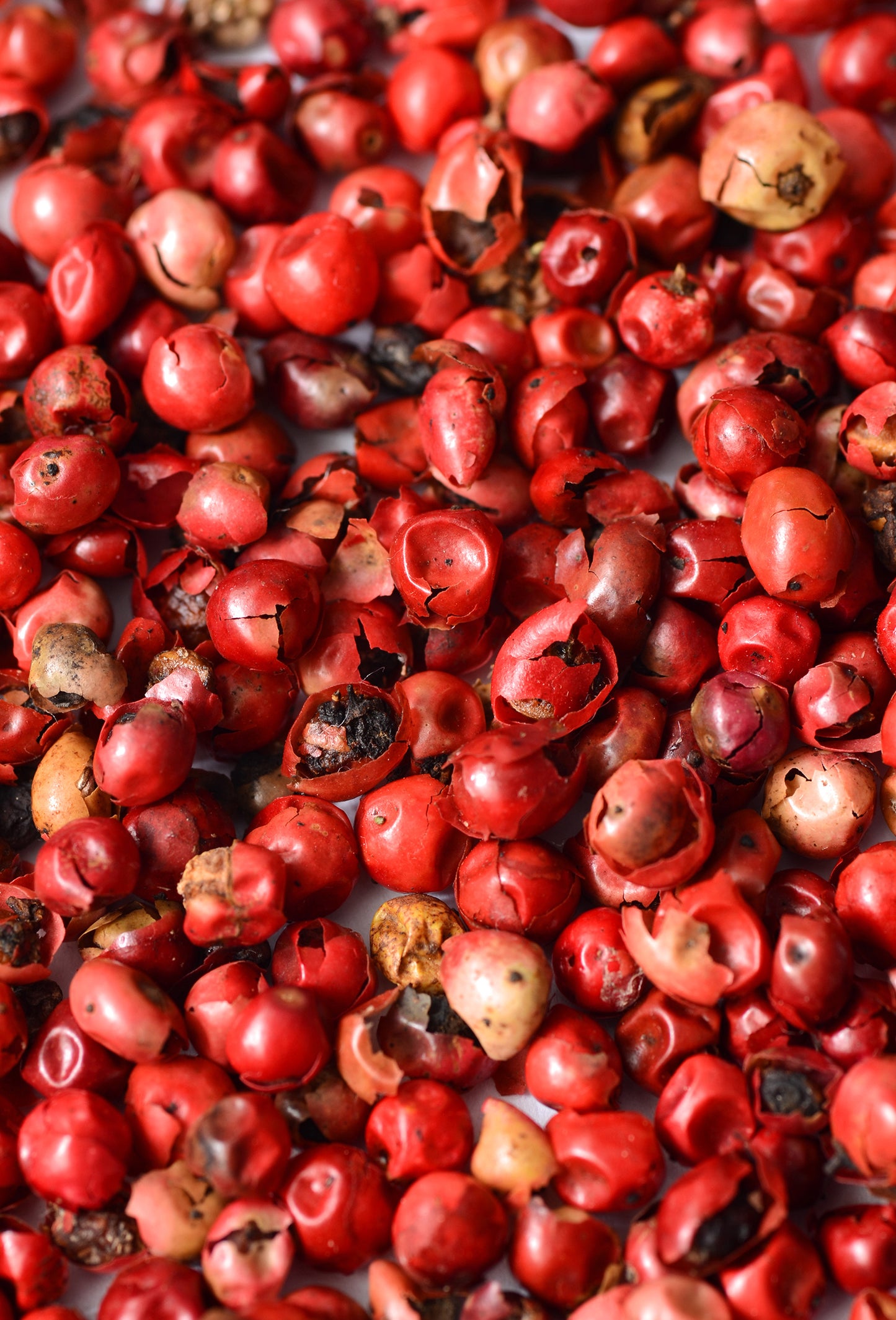 Pink Pepper Oil, Terebinthifolius