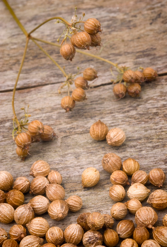 Linalool Dextro ex Coriander
