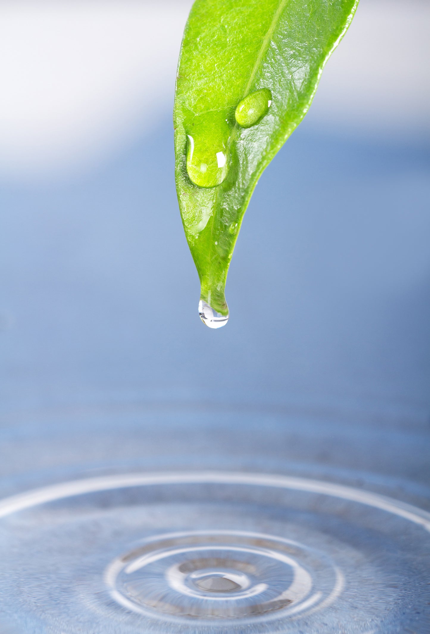 Triethyl Citrate, Natural (TEC)