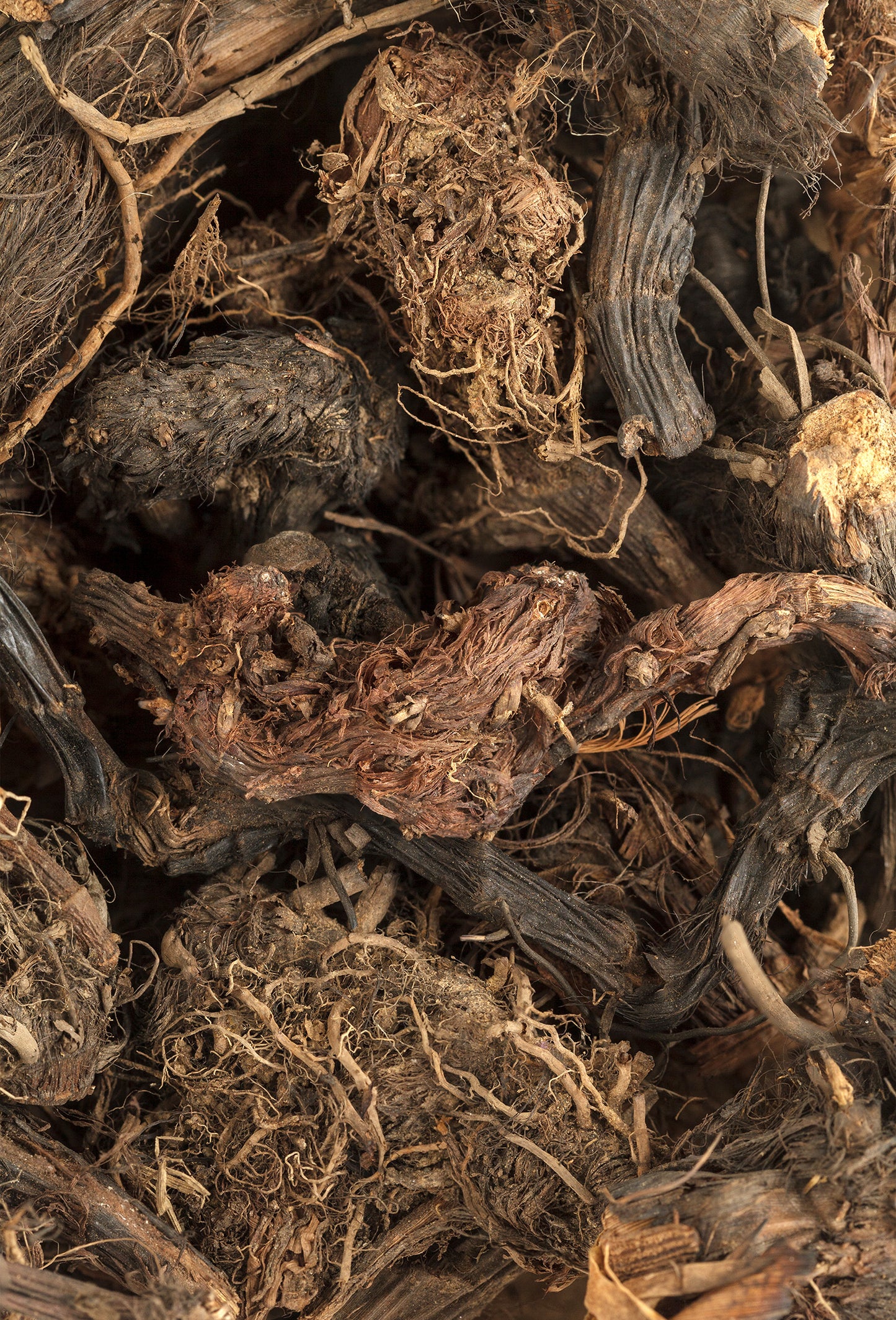 Spikenard Oil