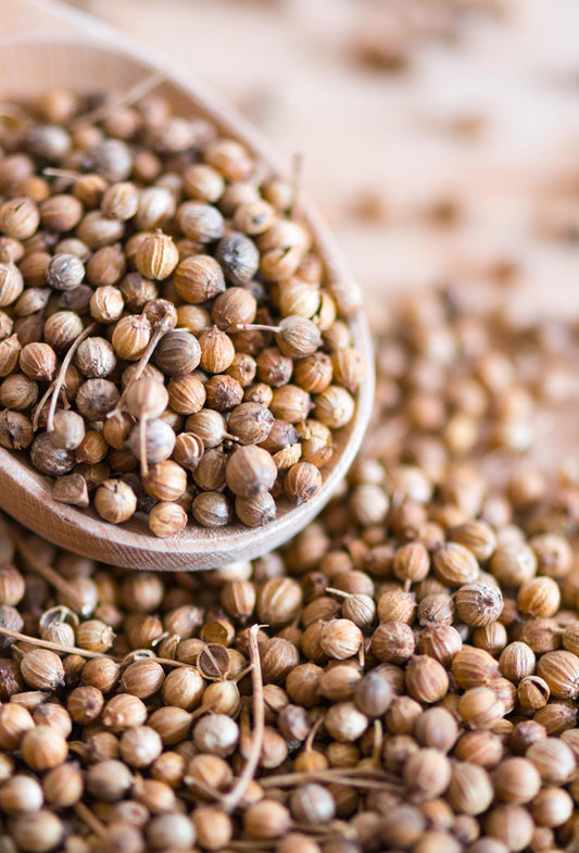 Coriander Seed Oil