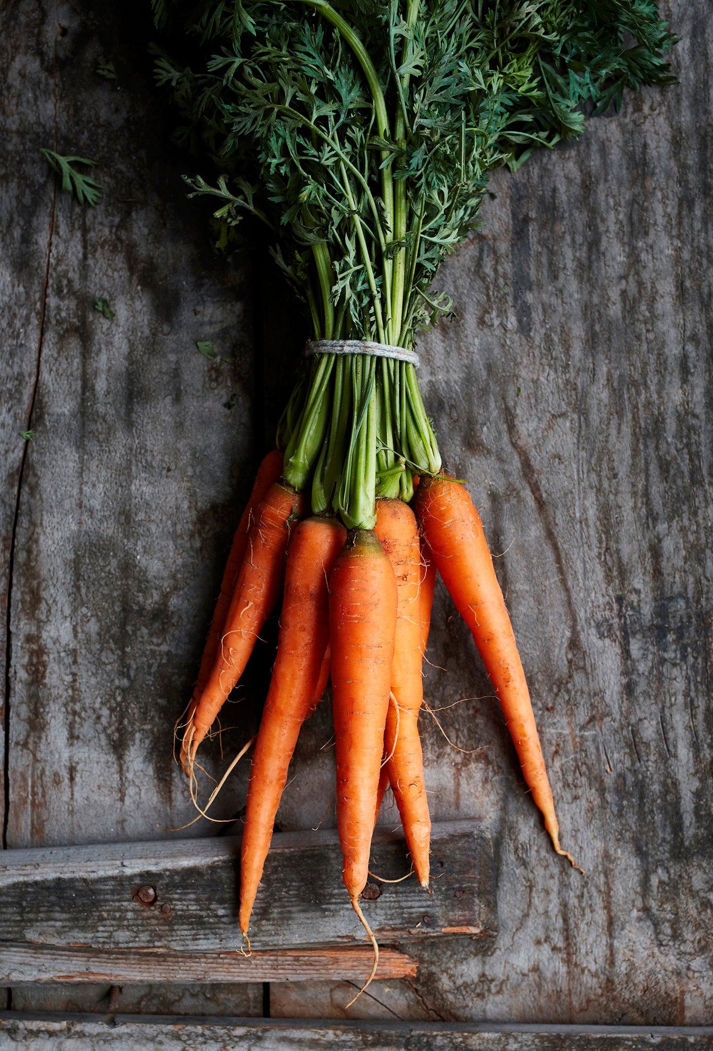 Carrot Heart MD