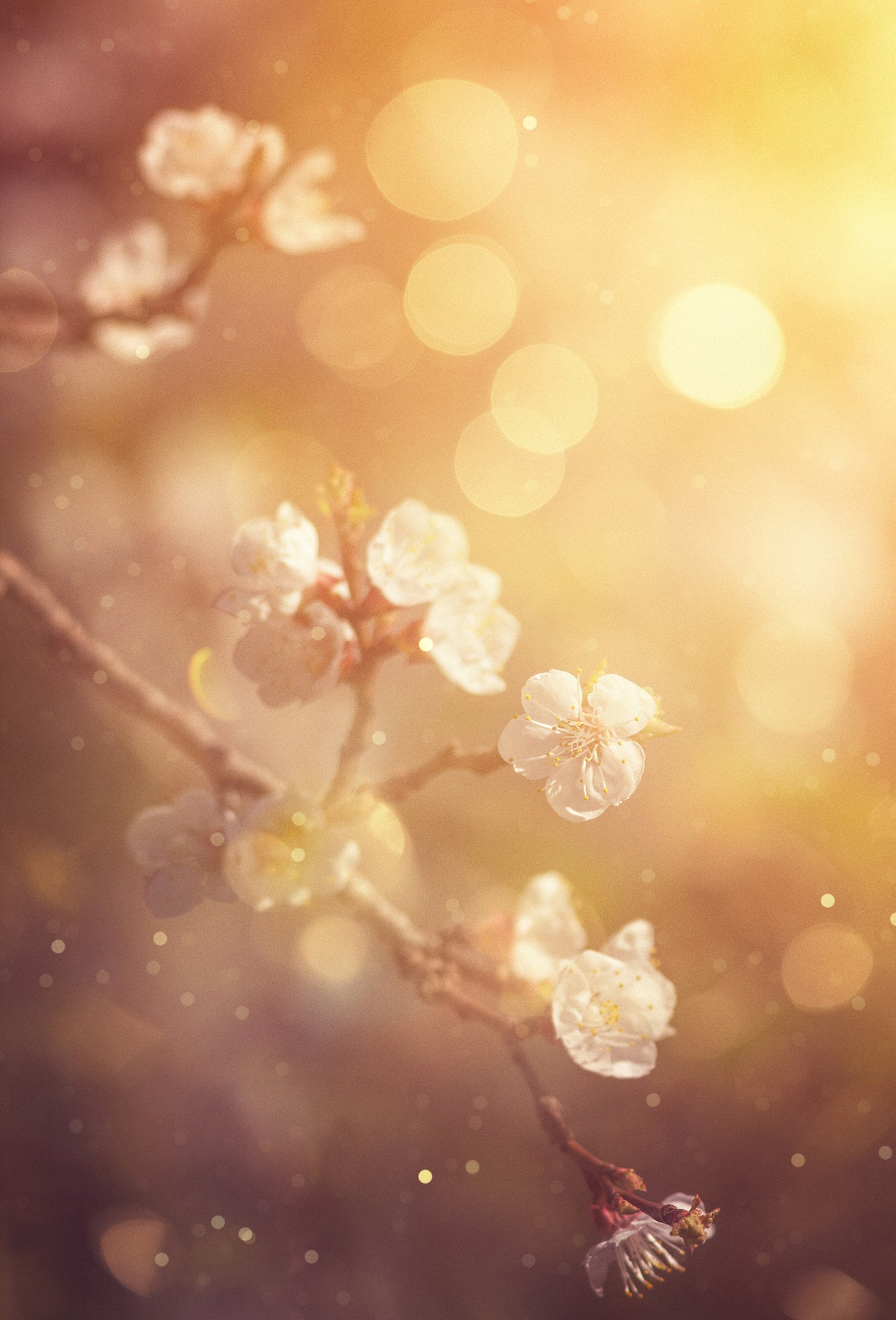 Aldehyde C-11 Undecylenic