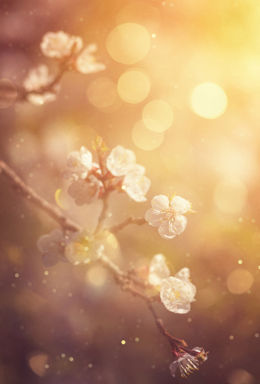 Aldehyde C-11 Undecylenic