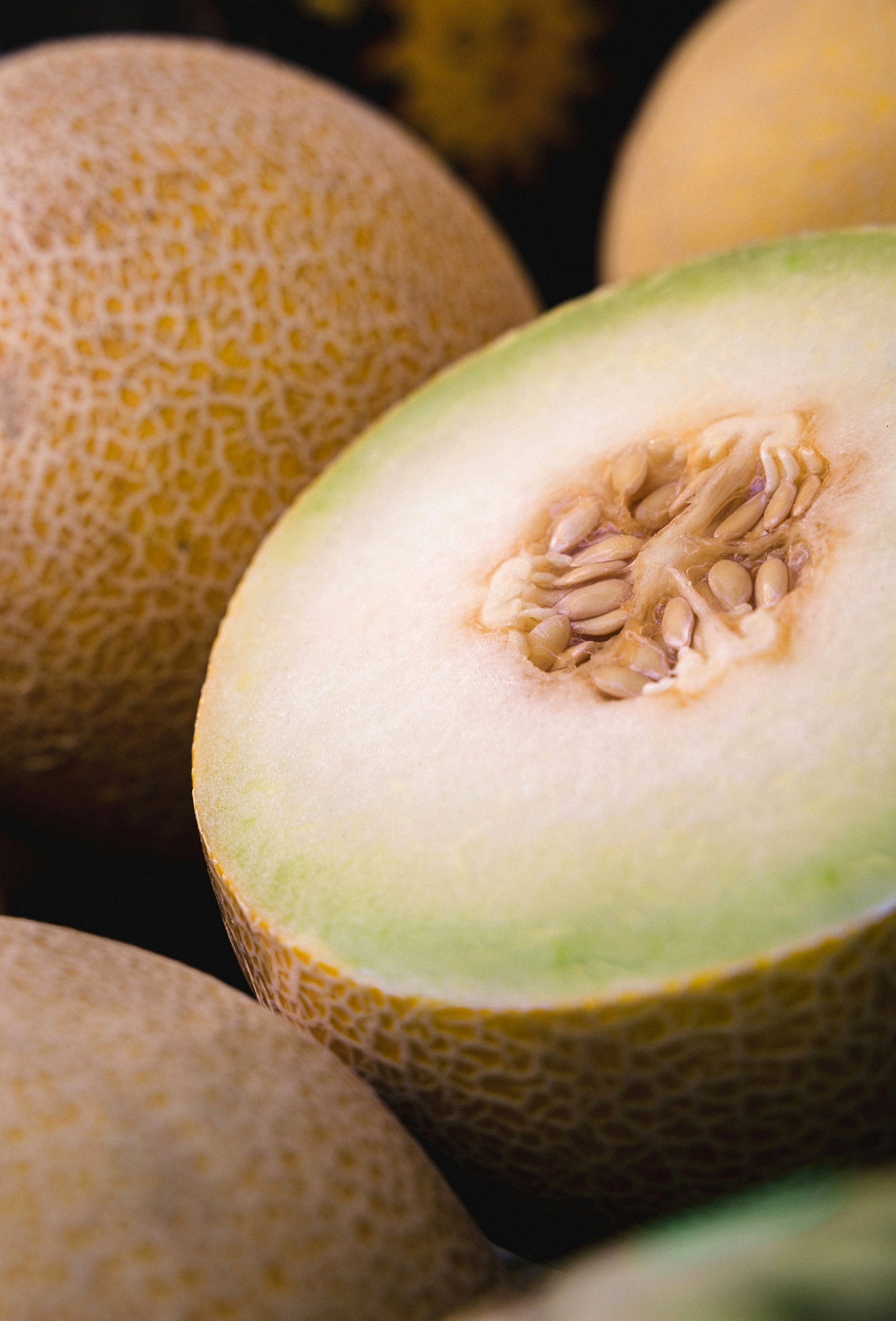 Melon Oliffac