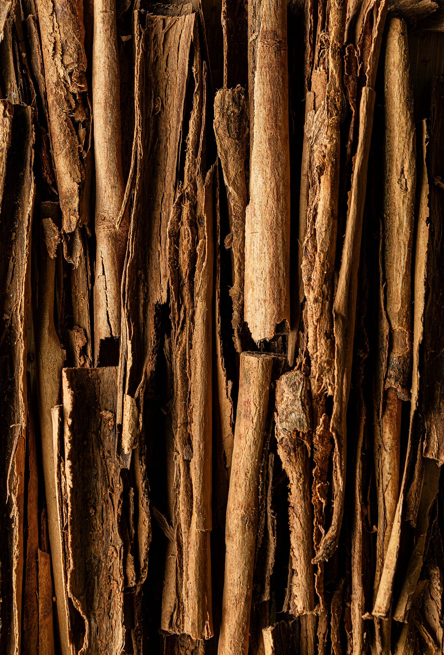 cinnamon様 Cinnamaldehyde – Fraterworks