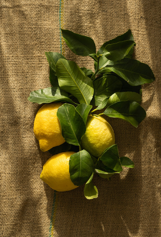Lemon “Superior” Oil, FCF