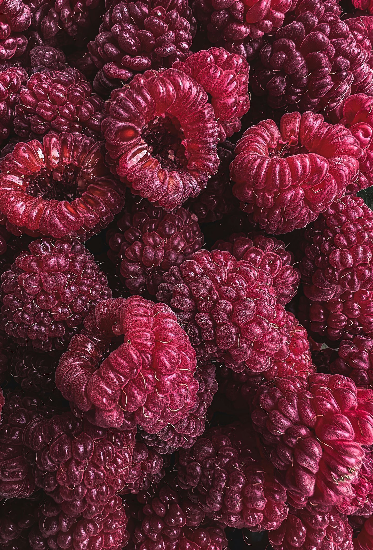 Raspberry Glycidate