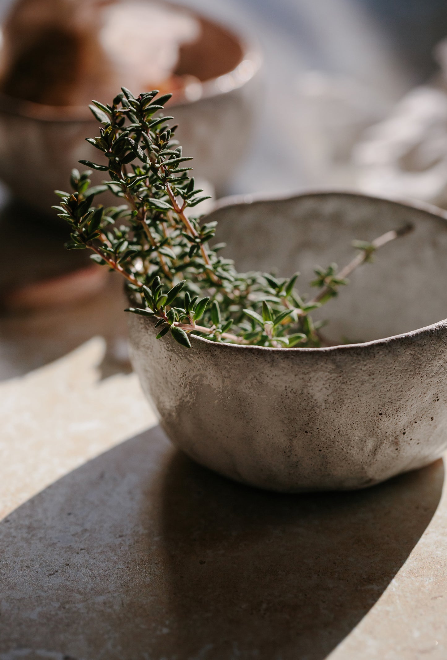 Red Thyme Oil