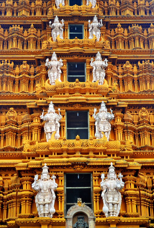 Sandalwood Mysore “Signature” Oil