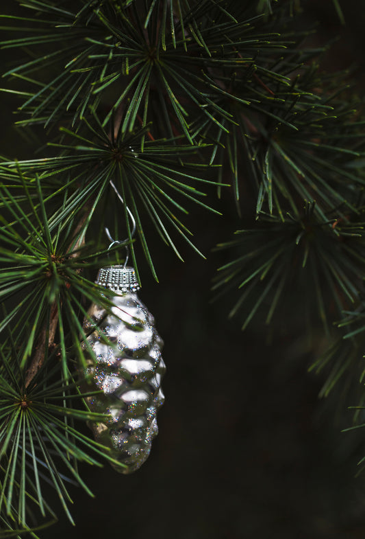 Fir Oil, Canada