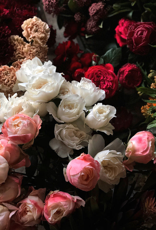 Phenyl Ethyl Salicylate