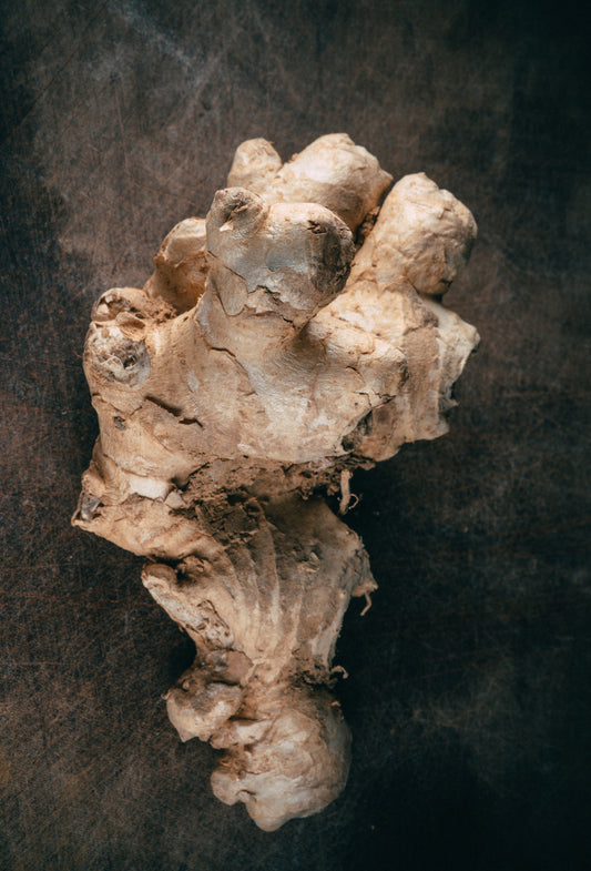 Ginger CO2, P. Jungle Essence