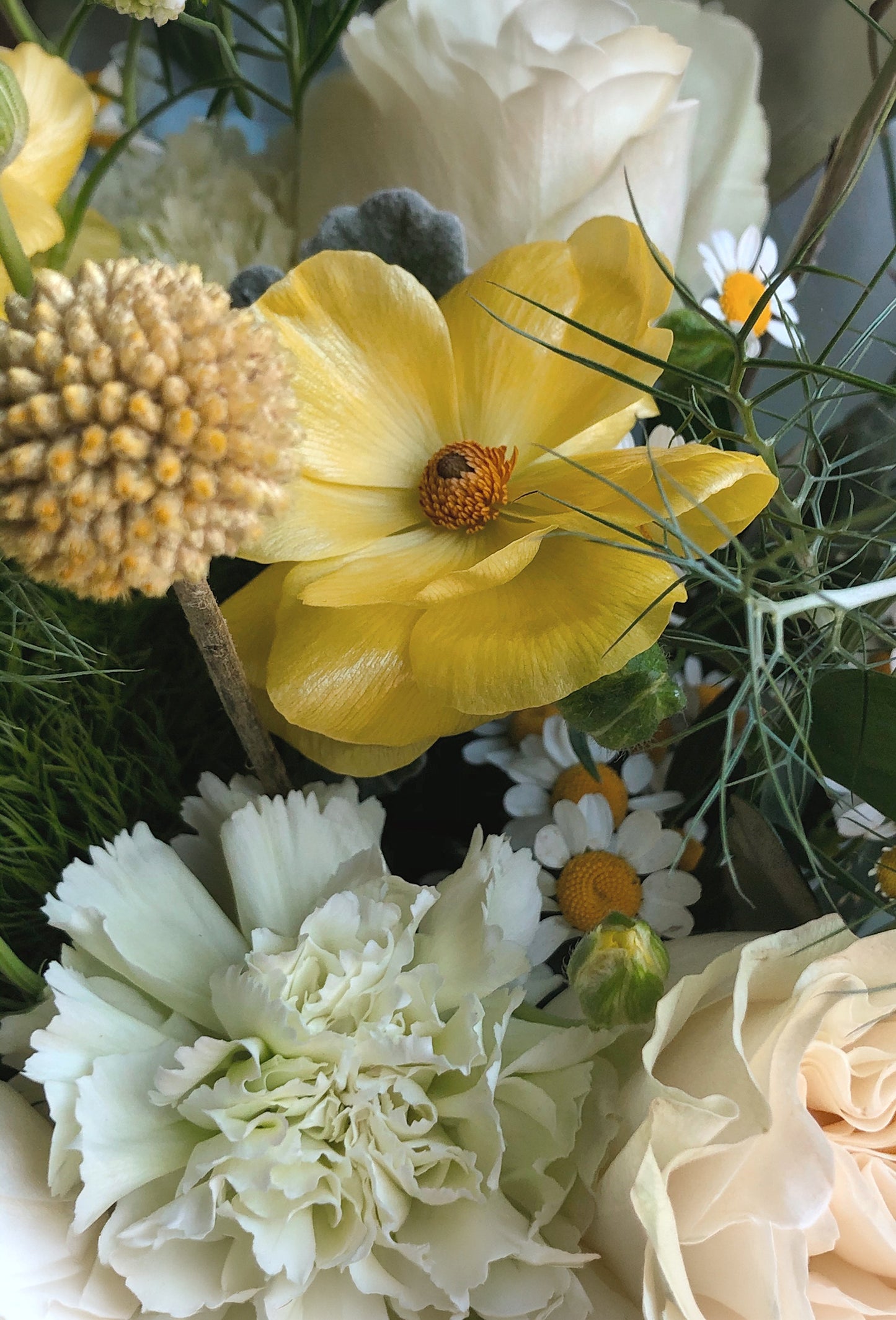 Starfleur™ 40