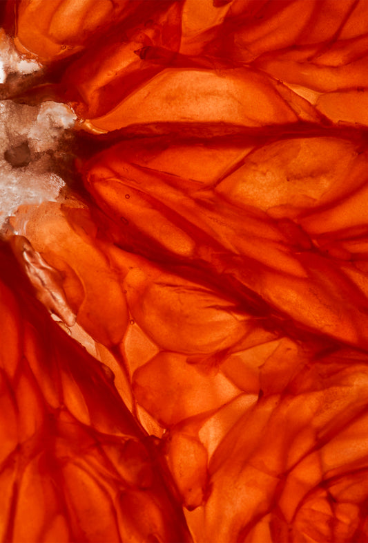 Grapefruit Oil 5 Fold