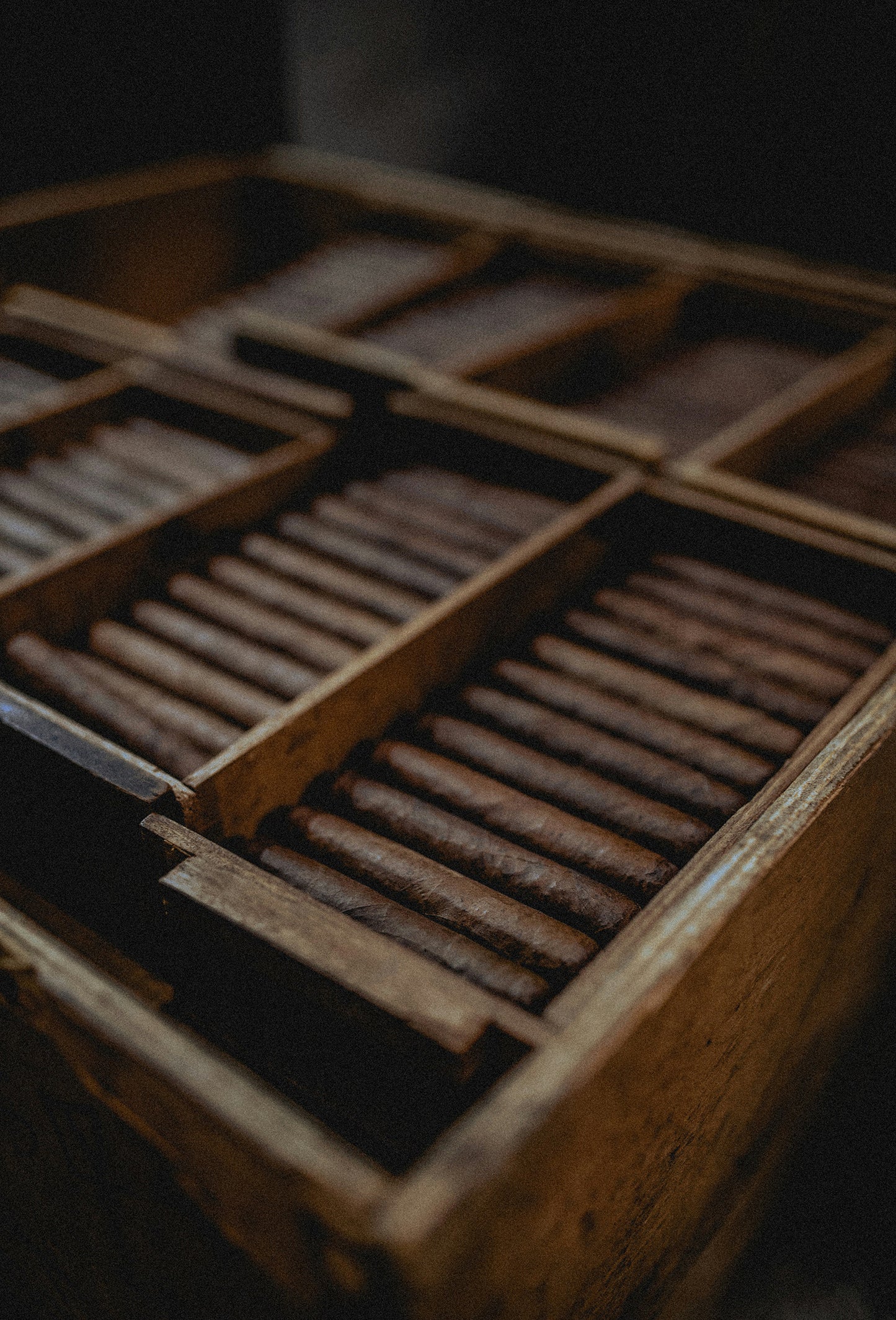 Tobacco Absolute MD