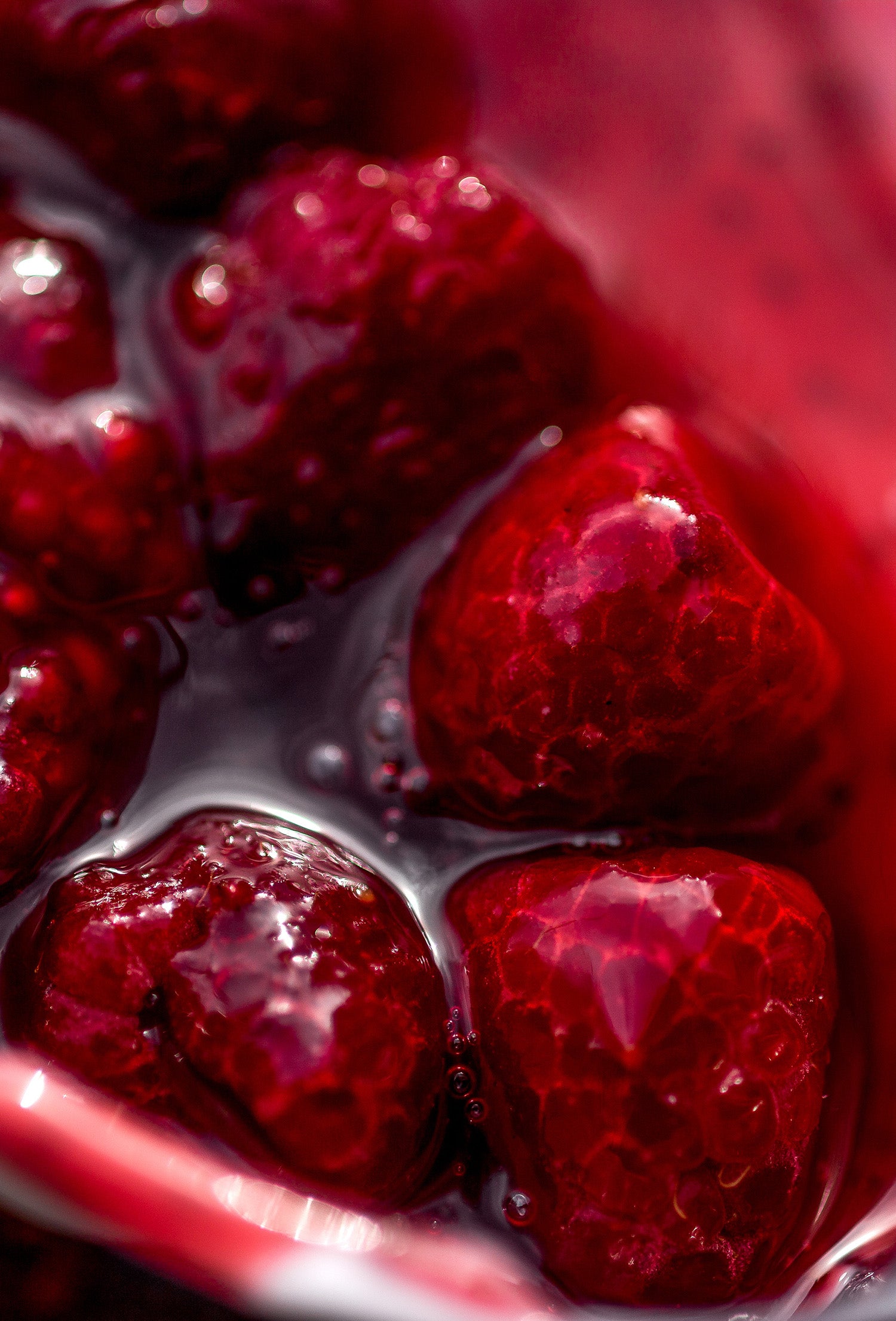 Raspberry Ripple – Fraterworks