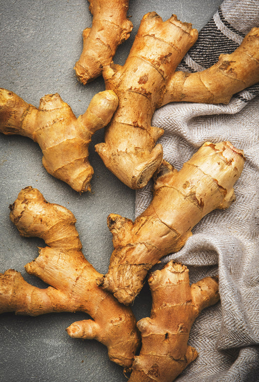 Ginger "Top Note" CO2, P. Jungle Essence