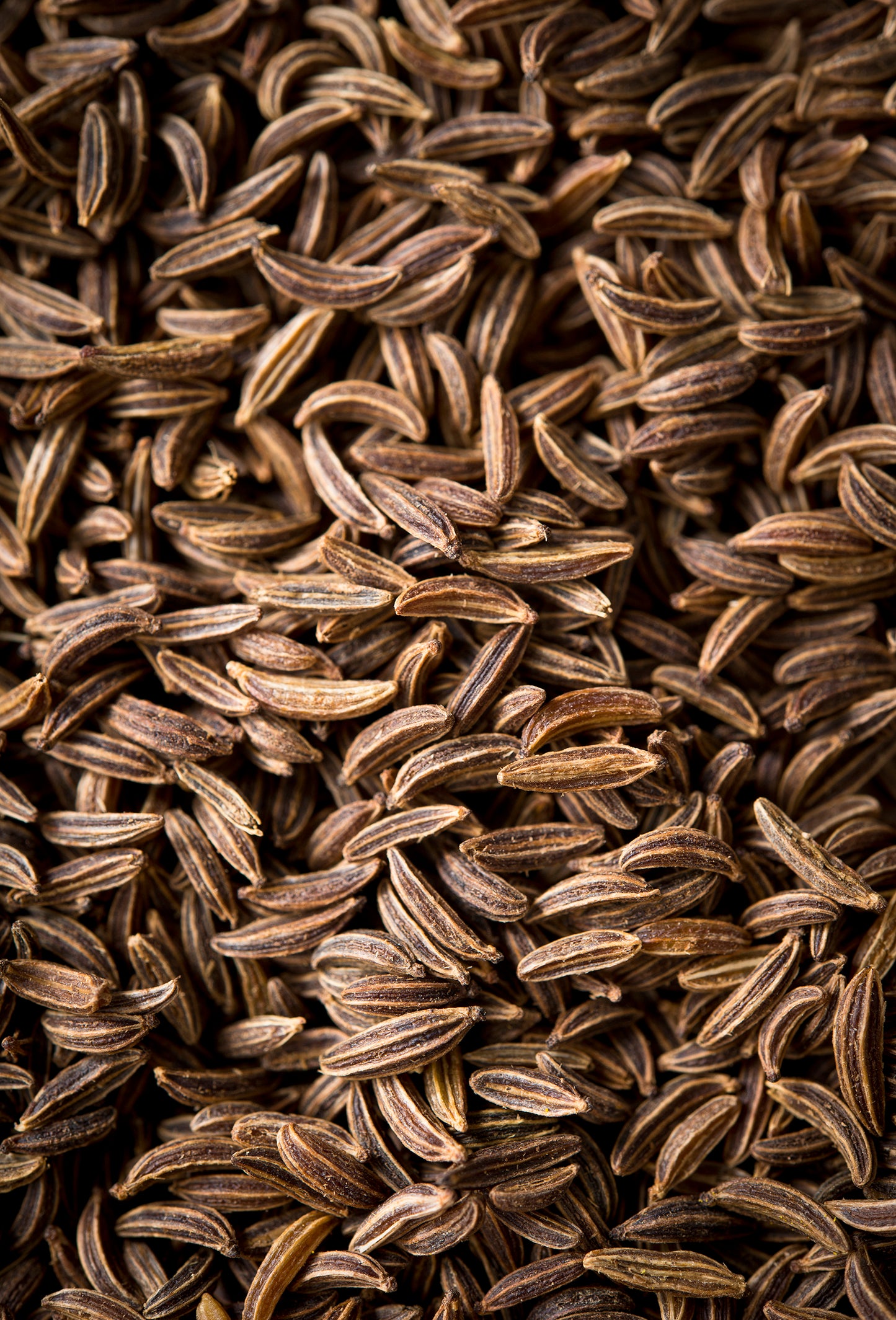 Caraway Seed “Superior” Oil