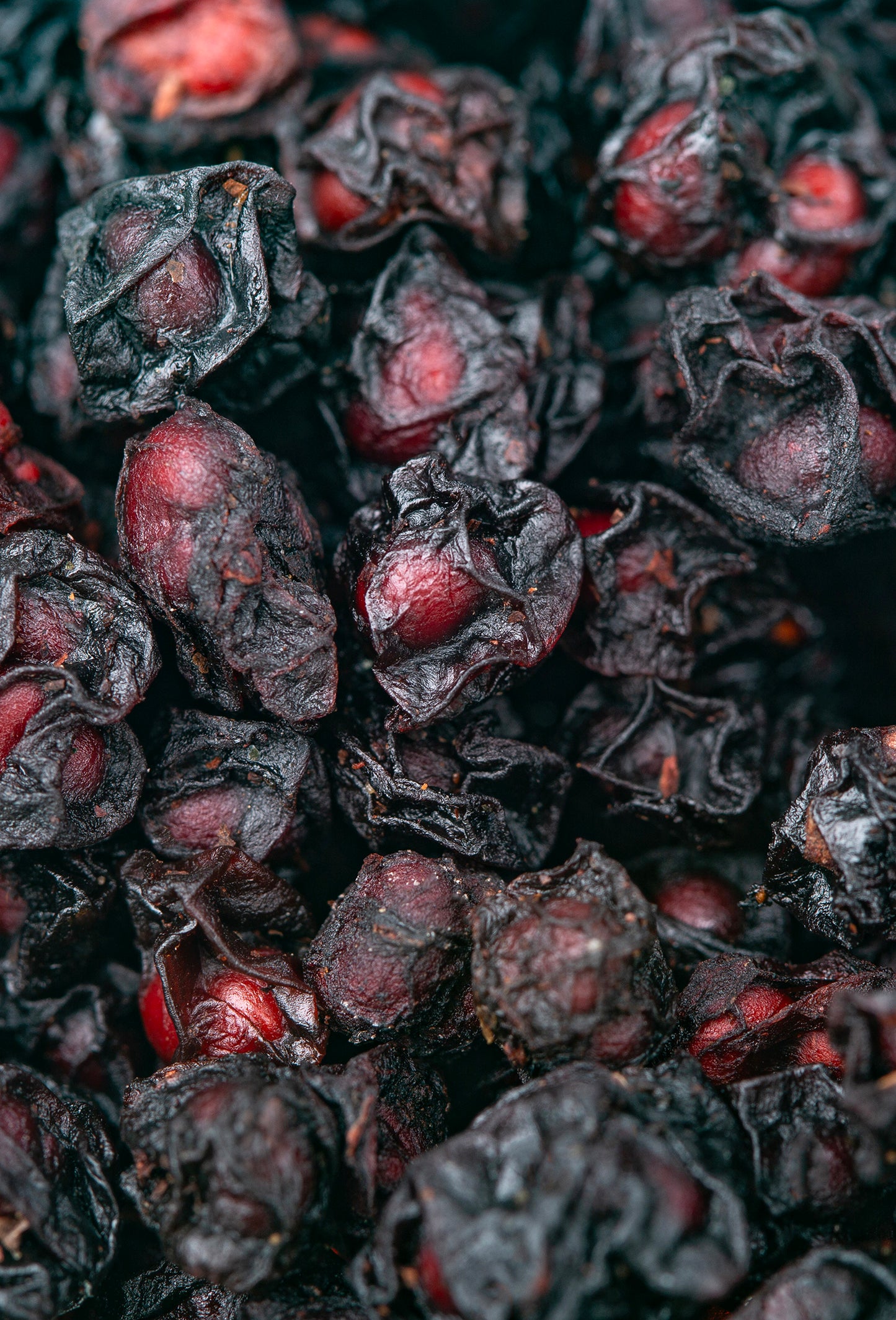 Schisandra Fruit CO2