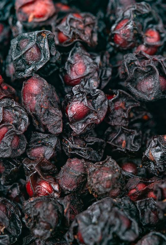 Schisandra Fruit CO2