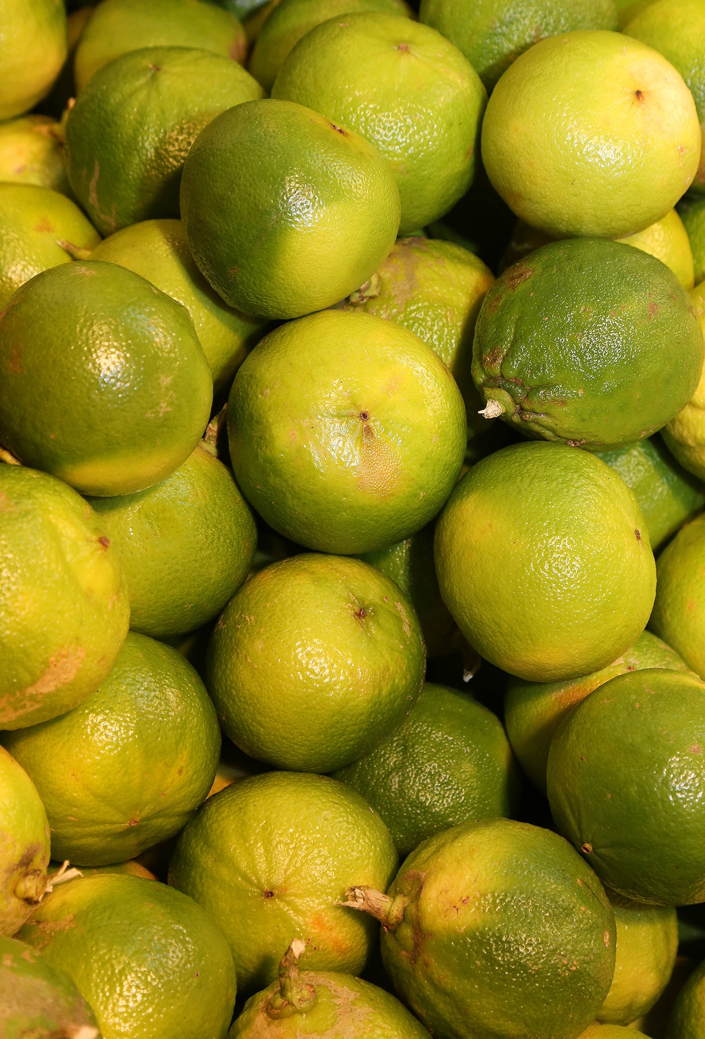 Bergamot Oil FCF, Organic