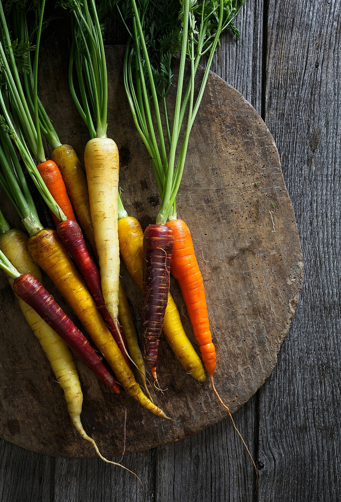 Carrot Seed Oil, Vaucluse