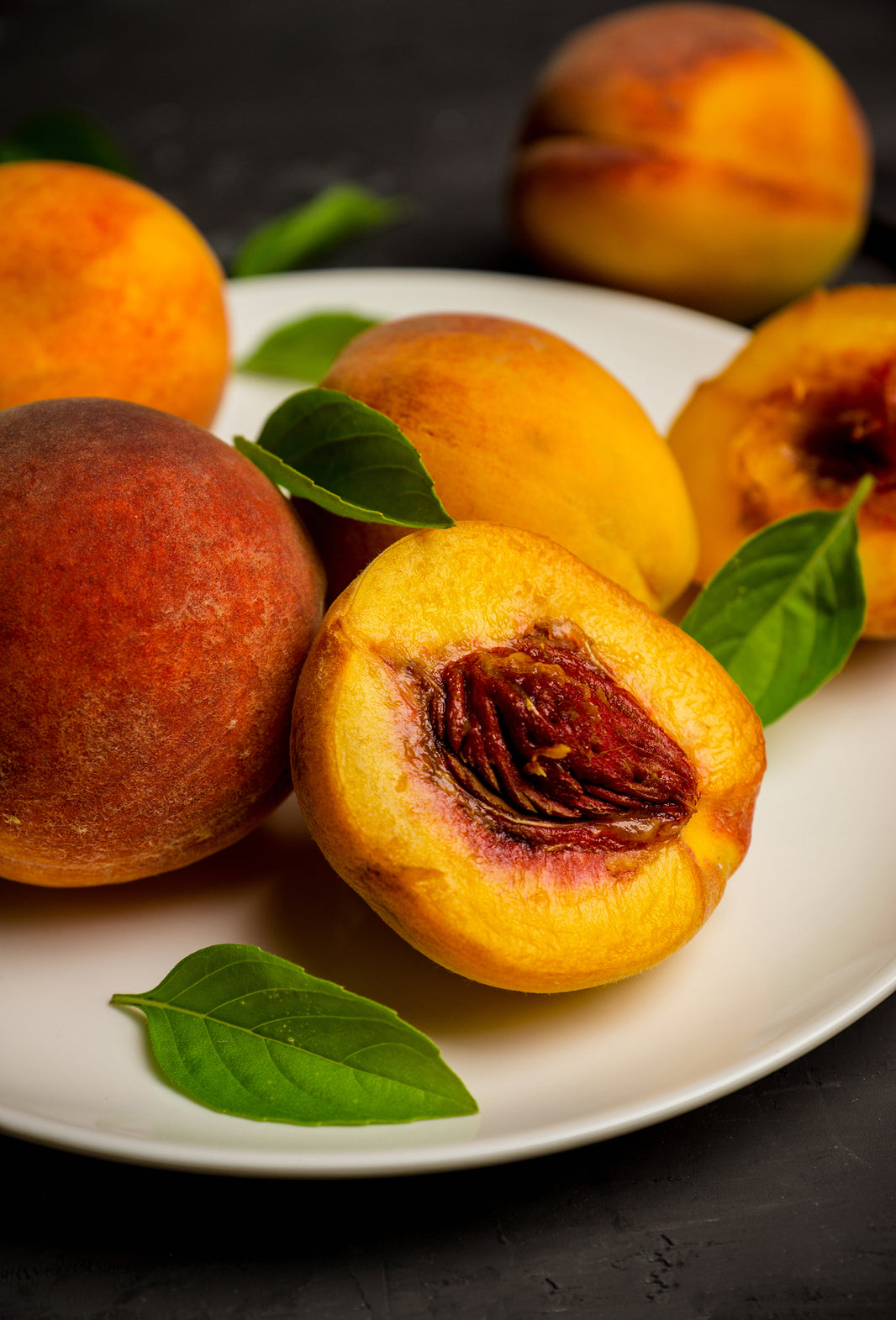 Golden Age Fraterworks