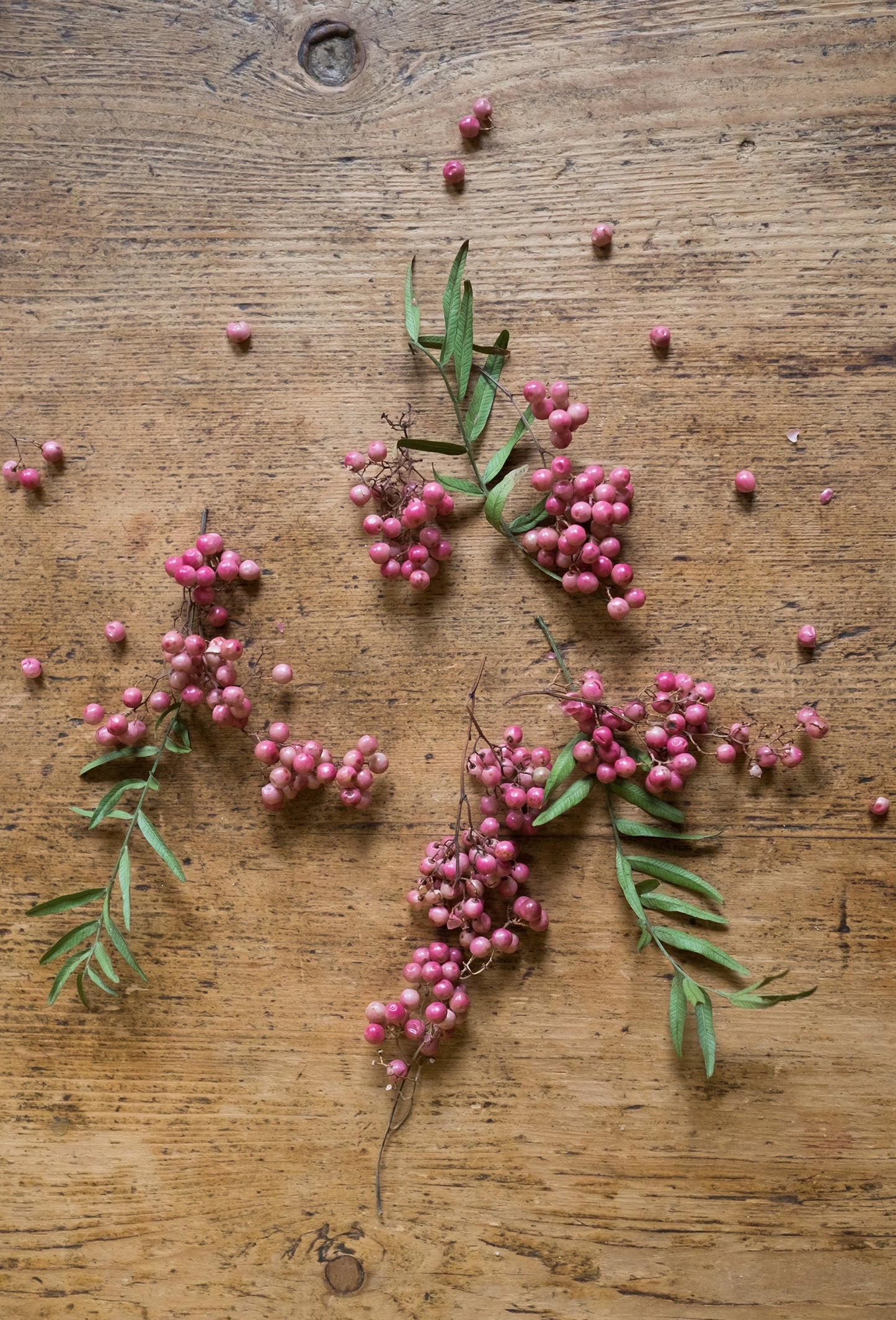 Pink Peppercorn CO2